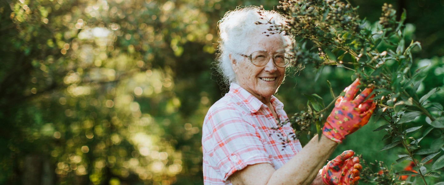 Renew your Membership